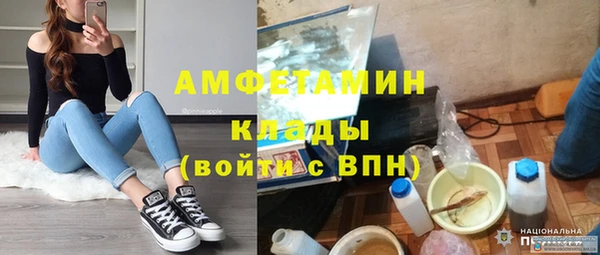 амф Вяземский