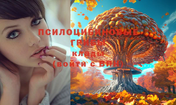 мдпв Вязники