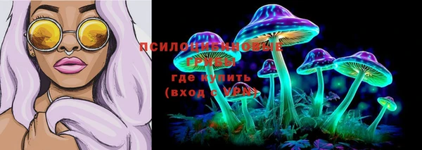 мдпв Вязьма
