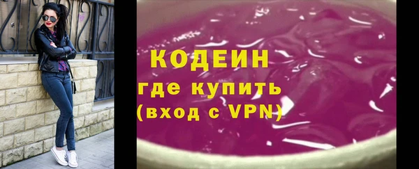 амф Вяземский