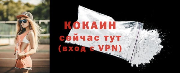 мдпв Вязники