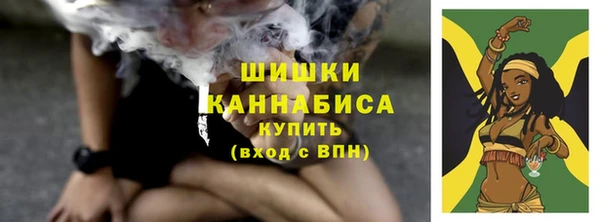 мдпв Вязьма