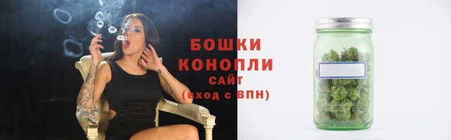 мдпв Вязьма