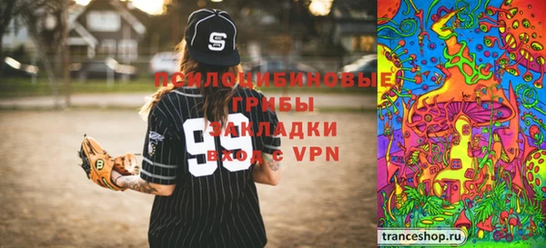 мдпв Вязьма