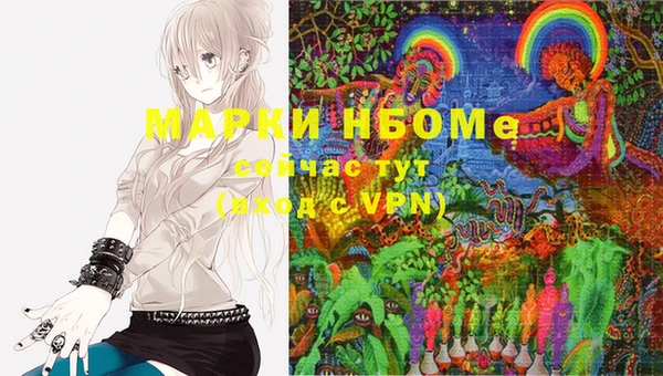 мдпв Вязьма